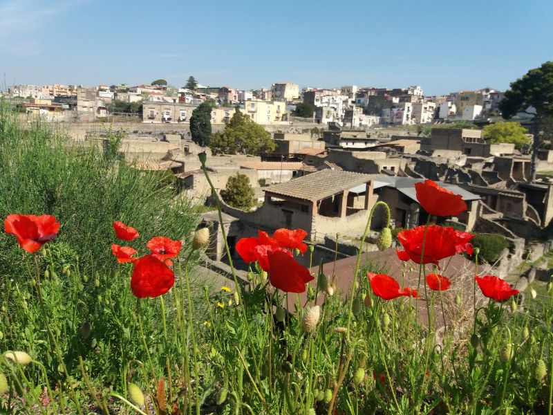 Ancient Herculaneum location